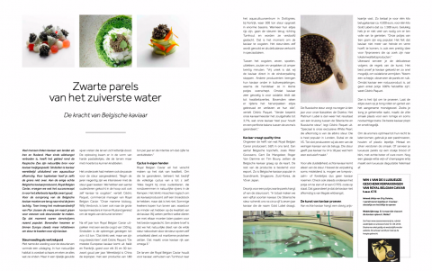 De Kracht Van Belgische Kaviaar